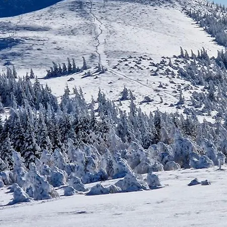 - 6 Pers, Piscine, Parking, Balcon - Fr-1-814-168 Super-Besse